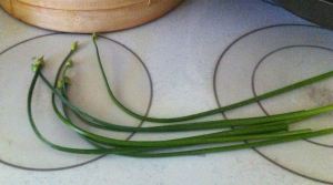 Chinese Chive Stem