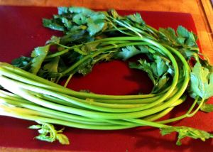 Chinese Celery