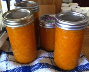 Karl's Apricot Quick Jam