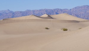 Mesquite Flat Sand Dunes, Death Valley