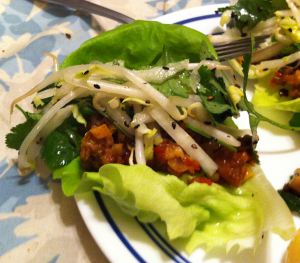 Karl’s California Fusion Asian Pork “Tacos”