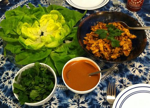 Karl’s Chicken Satay Lettuce Wraps with Peanut Sauce