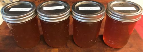 Karl’s Micro Lemon Ginger Marmalade