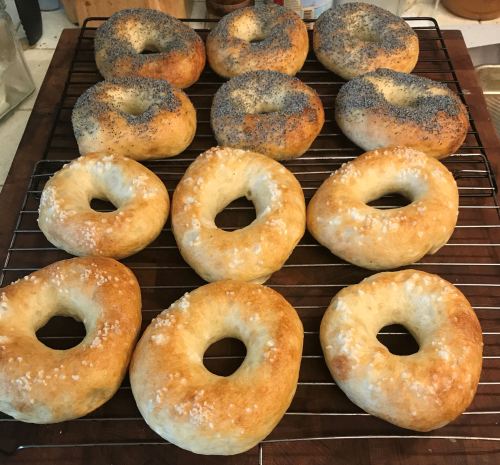 Karl’s New York Style Bagels